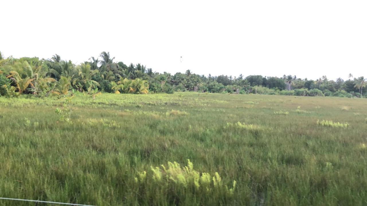 Vieni Qua Grand Hotel Fuvahmulah Exterior foto